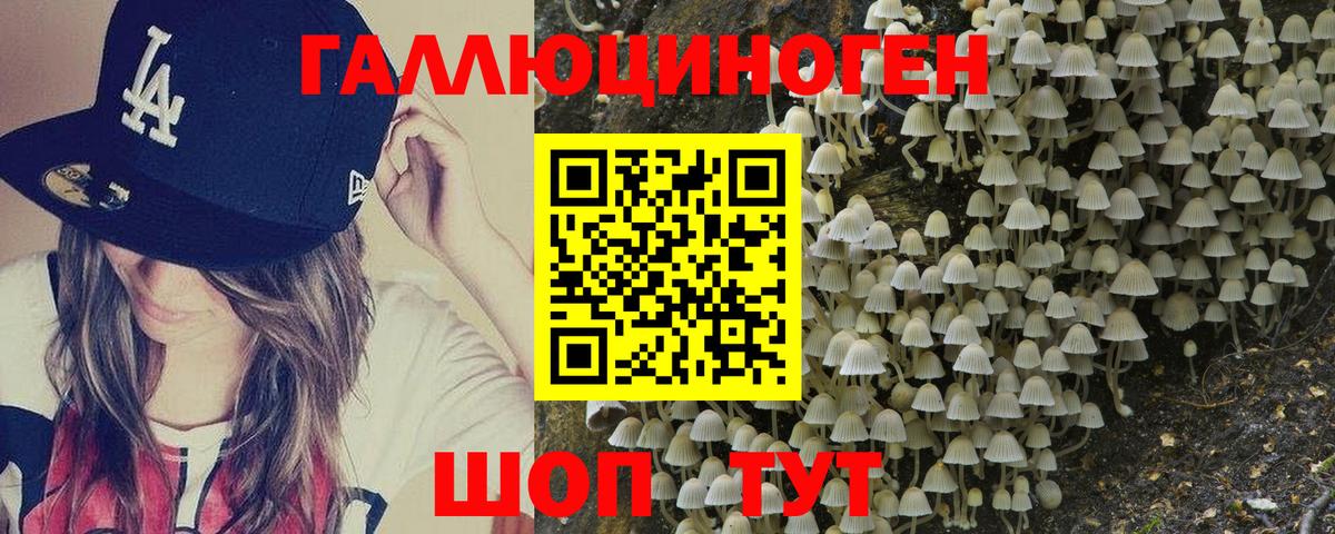 Псилоцибиновые грибы Magic Shrooms Батайск